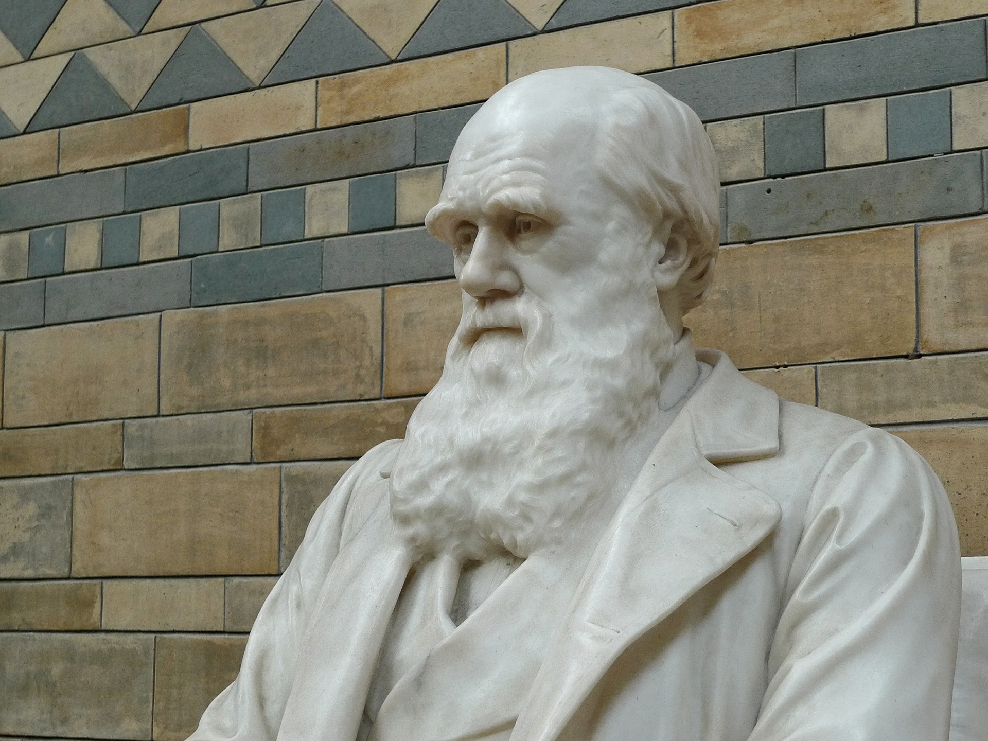 Are “All Men Created Equal” after Darwin? Part I